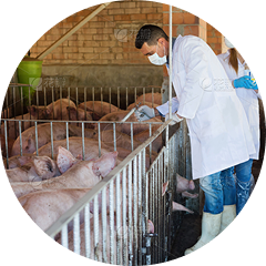 Pesticides & Disinfectants Pesticides & Disinfectants